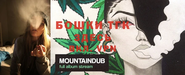 герыч Снежинск